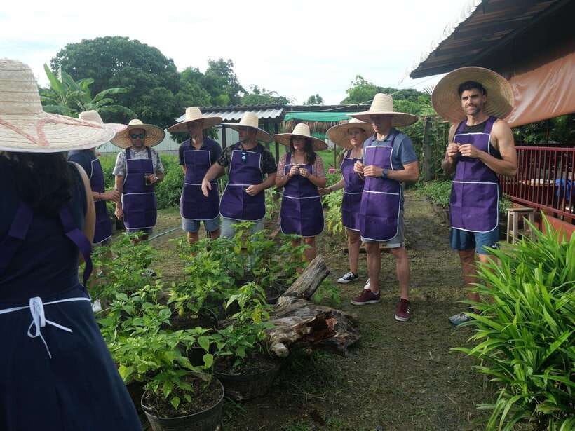 Chiang Mai: Half Day Cooking Class at Organic Farm - From curry paste to spring rolls: what you’ll cook in this 5-hour class