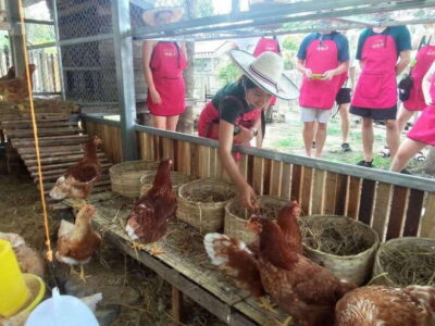 Chiang Mai: Half Day Cooking Class at Organic Farm - Market time in Chiang Mai: how the ingredient lesson sticks