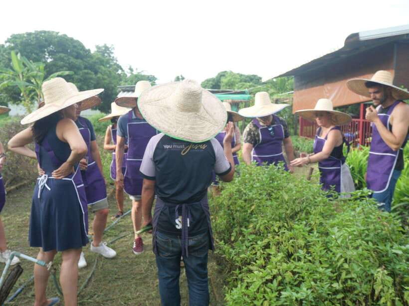 Chiang Mai: Half Day Cooking Class at Organic Farm - Instructors and group vibe: small group attention without feeling formal