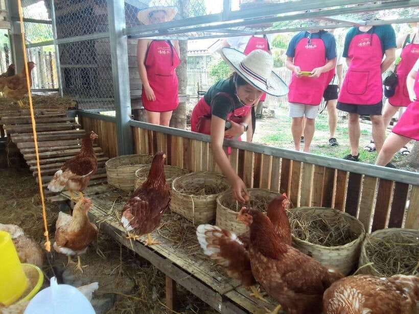 Chiang Mai: Half Day Cooking Class at Organic Farm - Market time in Chiang Mai: how the ingredient lesson sticks