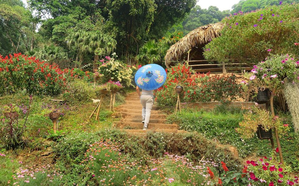 Chiang Mai: Half day Doi Suthep and Meo Village - Why This Half-Day Doi Suthep + Meo Village Combo Works