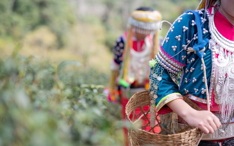 Chiang Mai: Half day Doi Suthep and Meo Village - The Tour Guide Makes or Breaks the Day