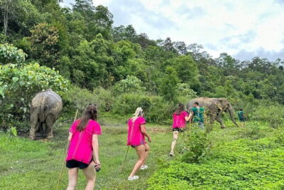 Chiang Mai Half Day Elephant Sanctuary Observation and Waterfall - Getting There From Chiang Mai: Pickup, Ride Time, and Road Conditions