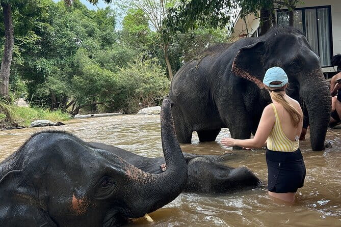 Chiang Mai Half Day Tour: Doi Inthanon Elephant Sanctuary - Key highlights (what makes this tour work)
