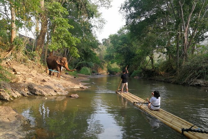 Chiang Mai Half Day Tour: Doi Inthanon Elephant Sanctuary - Lunch after the elephants: a small but smart part of the schedule