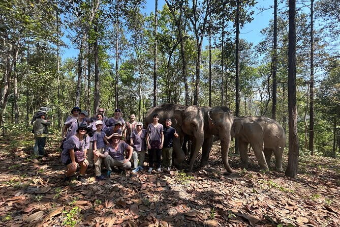 Chiang Mai Half Day Tour: Doi Inthanon Elephant Sanctuary - The elephant sanctuary visit: what happens on site