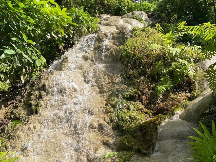 Chiang Mai Half Day Tour: Sticky Waterfall & Hotel Transfer - Bua Tong’s Sticky Waterfall Climb: Why It Feels So Different