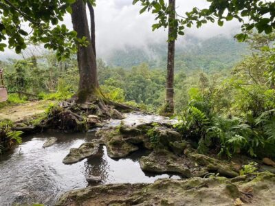 Chiang Mai Half Day Tour: Sticky Waterfall & Hotel Transfer - Getting There From Chiang Mai: Pickup Points and Ride Comfort
