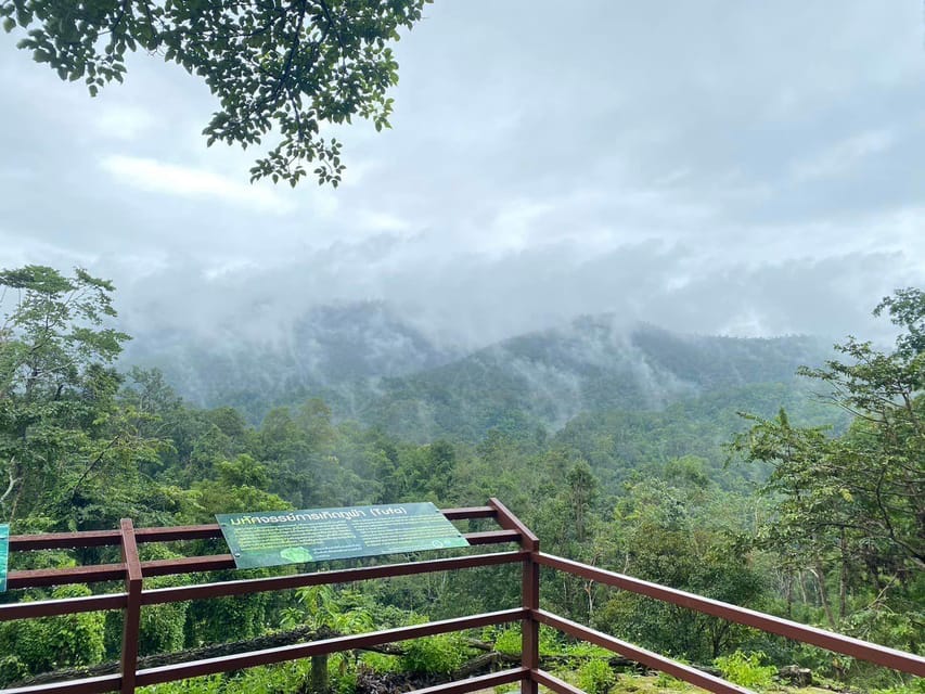 Chiang Mai Half Day Tour: Sticky Waterfall & Hotel Transfer - Price and What You’re Actually Paying For