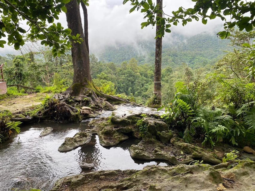 Chiang Mai Half Day Tour: Sticky Waterfall & Hotel Transfer - Getting There From Chiang Mai: Pickup Points and Ride Comfort