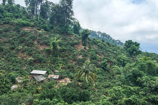 Chiang mai Hike & Downhill Bike Adventure –Suthep National Park - Stop-by-stop: waterfalls, hill tribe lunch, and the big downhill