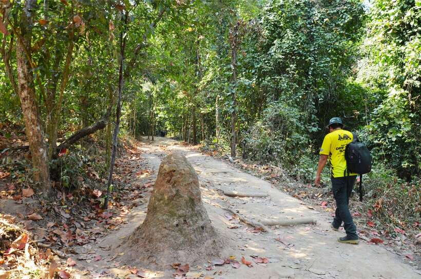Chiang Mai: Hike on Monk’s Trail and Doi Suthep Private Tour - Wat Phra That Doi Suthep and the Golden Stupa: your big viewpoint moment