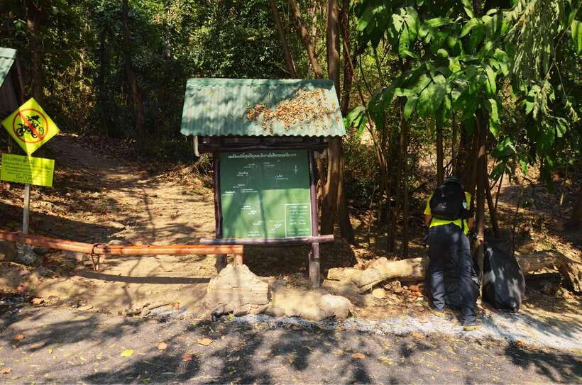 Chiang Mai: Hike on Monk’s Trail and Doi Suthep Private Tour - Who should book this, and who should skip the hike