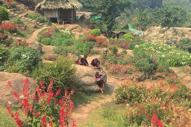 Chiang Mai Iconic Temples and City Tour - Is $45.50 a good value with hotel pickup and entry fees?