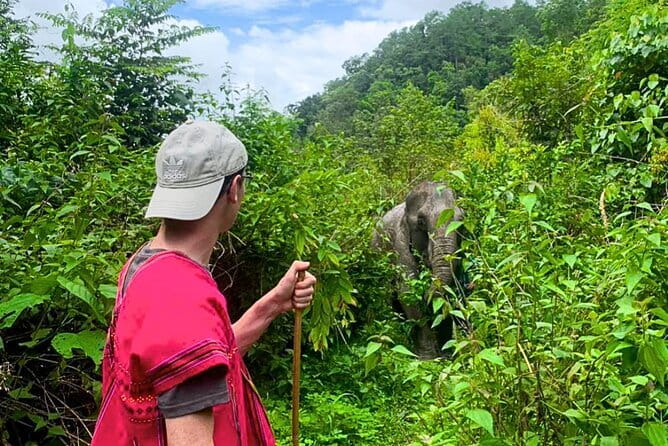 Chiang Mai: Inthanon, Elephant Sanctuary Observation & Waterfall - Doi Inthanon (2,565 m): Highest-Peak Views and the Stupas for Rama IX
