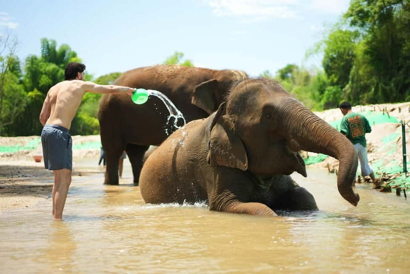Chiang Mai: Jungle Jumbo Elephant Sanctuary with Waterfall - How The Day Flows From Village Life to Jungle Waterfall