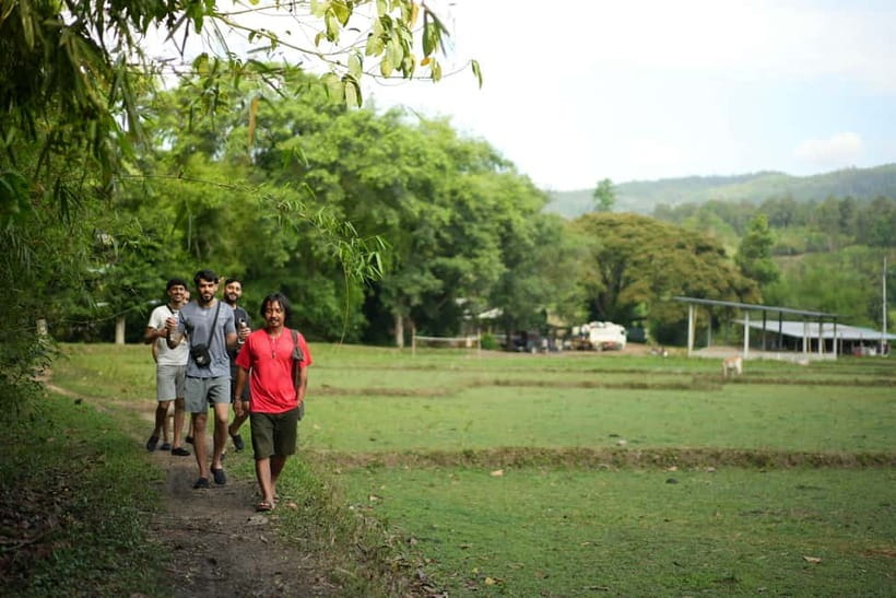 Chiang Mai: Jungle Jumbo Elephant Sanctuary with Waterfall - Pad Thai Lunch and the Pace That Keeps You From Burning Out
