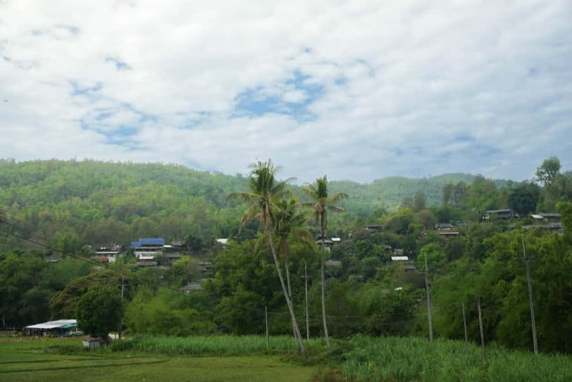 Chiang Mai: Jungle Jumbo Elephant Sanctuary with Waterfall - Price, Transfers, and What You’ll Want to Pack