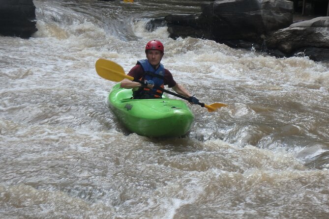 Chiang Mai: Jungle Kayak Adventure with Rapids & Elephants - Elephant camps and jungle wildlife from the water’s edge