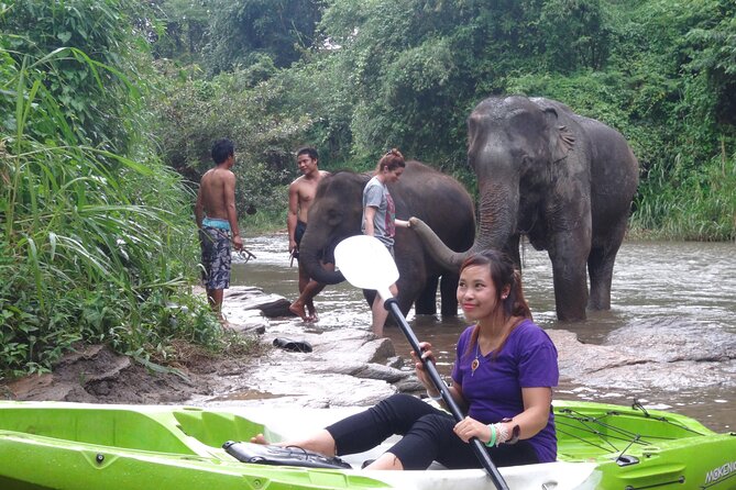 Chiang Mai: Jungle Kayak Adventure with Rapids & Elephants - The 5-hour rhythm: launch, lunch, and getting back to Chiang Mai