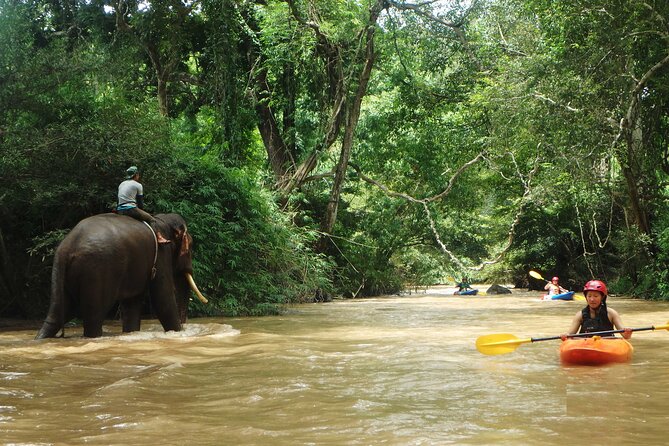 Chiang Mai: Jungle Kayak Adventure with Rapids & Elephants - What to pack for Mae Wang River (and why horse flies are a thing)