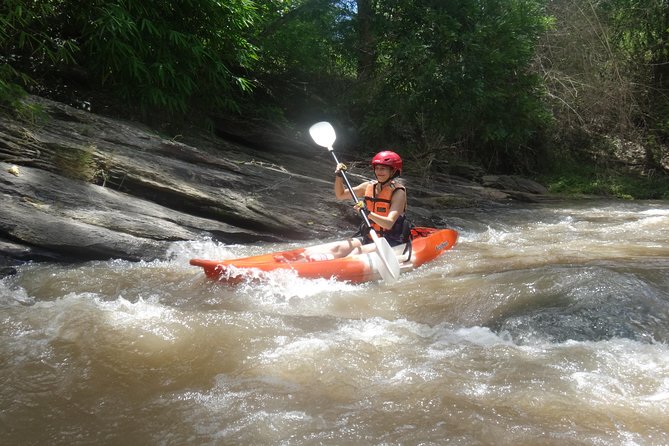 Chiang Mai: Jungle Kayak Adventure with Rapids & Elephants - Picking the right boat: sit-on-top vs river kayak