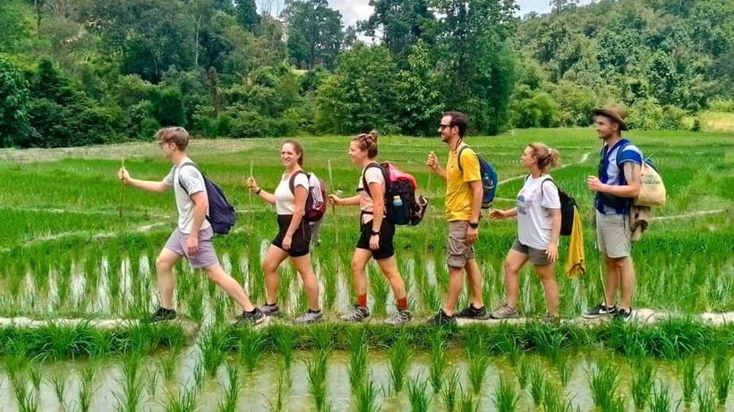 Chiang Mai: Jungle Trek, Elephants care & Bamboo Rafting - Full-Day Schedule From City Pick-up to Jungle Waterfall