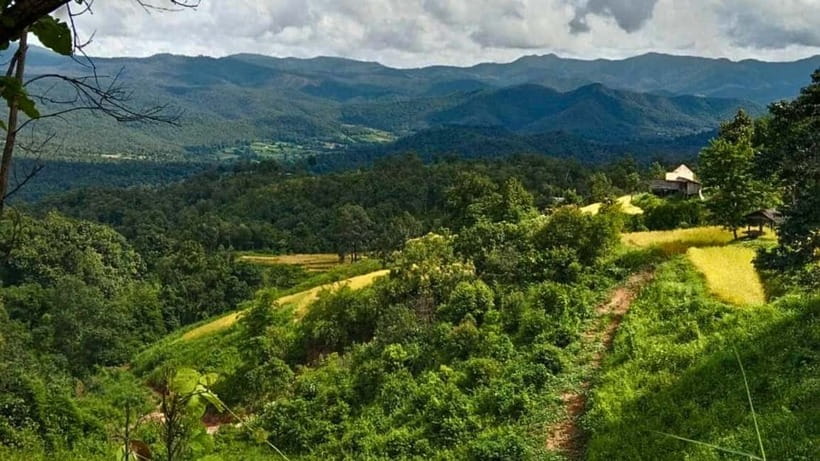 Chiang Mai: Jungle Trek, Elephants care & Bamboo Rafting - Price and Value: Is $58 a Fair Deal?