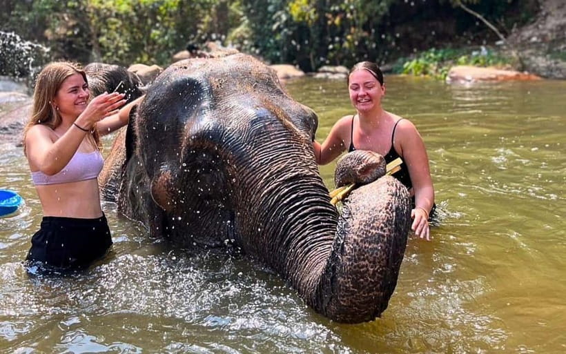 Chiang Mai: Jungle Trek, Elephants care & Bamboo Rafting - The Jungle Trek: 2–5 Hours of Real Green, Real Steps