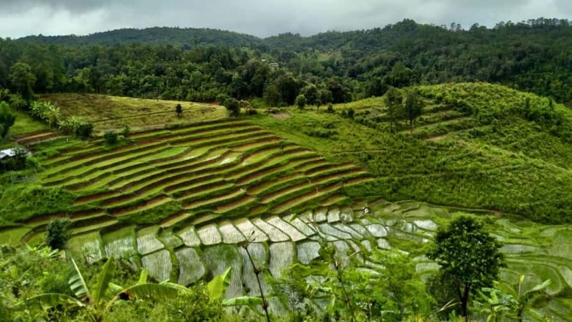 Chiang Mai: Jungle Trek, Elephants care & Bamboo Rafting - Waterfall Swim and Packed Lunch: Where the Day Becomes Comfortable