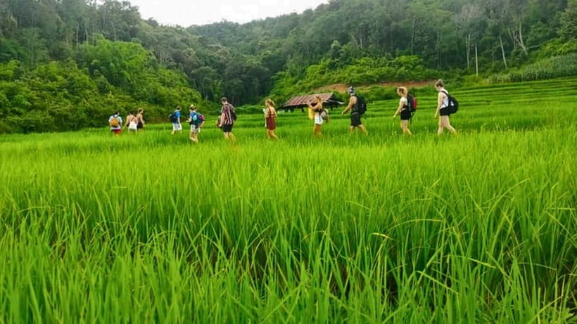 Chiang Mai: Jungle Trek, Elephants care & Bamboo Rafting - What to Pack for Jungle Trekking, Rain, and Waterfall Time