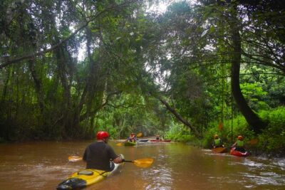 Chiang Mai : Kayak the Jungle Rivers of Chiang Dao Valley! - The 8:30 hotel pickup and pro-shop briefing that sets you up to enjoy it
