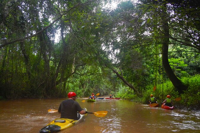 Chiang Mai : Kayak the Jungle Rivers of Chiang Dao Valley! - The 8:30 hotel pickup and pro-shop briefing that sets you up to enjoy it