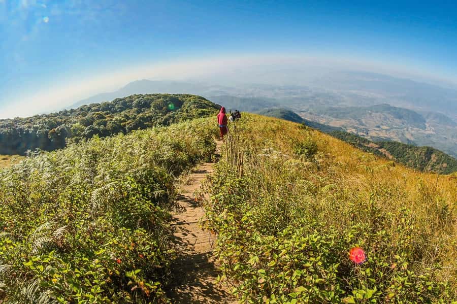 Chiang Mai: Kew Mae Pan Nature Trail & Doi Inthanon Day Trip - Why this Doi Inthanon + Kew Mae Pan combo works