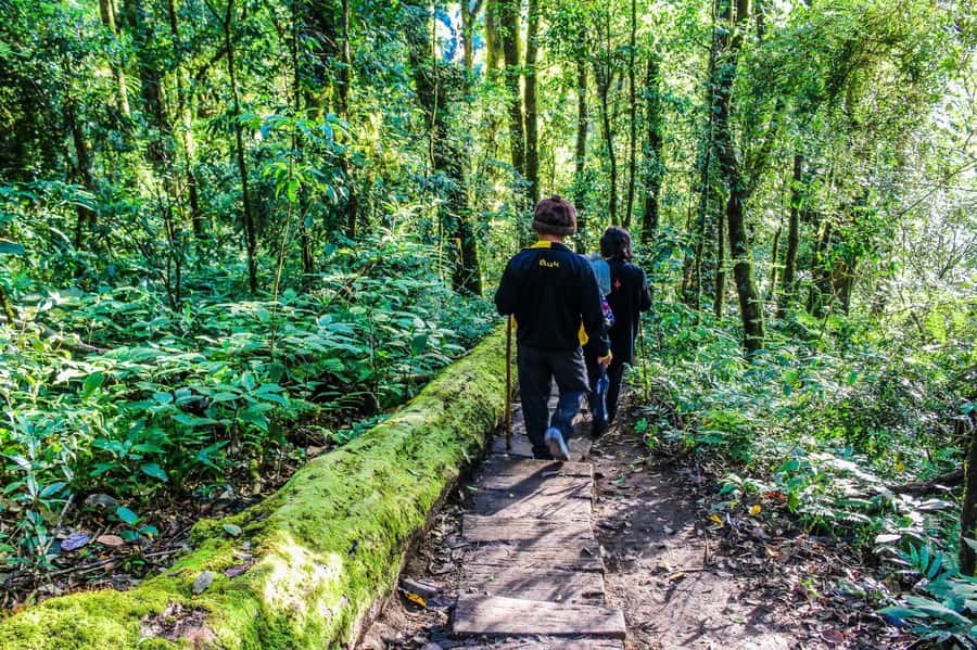 Chiang Mai: Kew Mae Pan Nature Trail & Doi Inthanon Day Trip - Karen Hill Tribe visit: ask questions, notice daily details