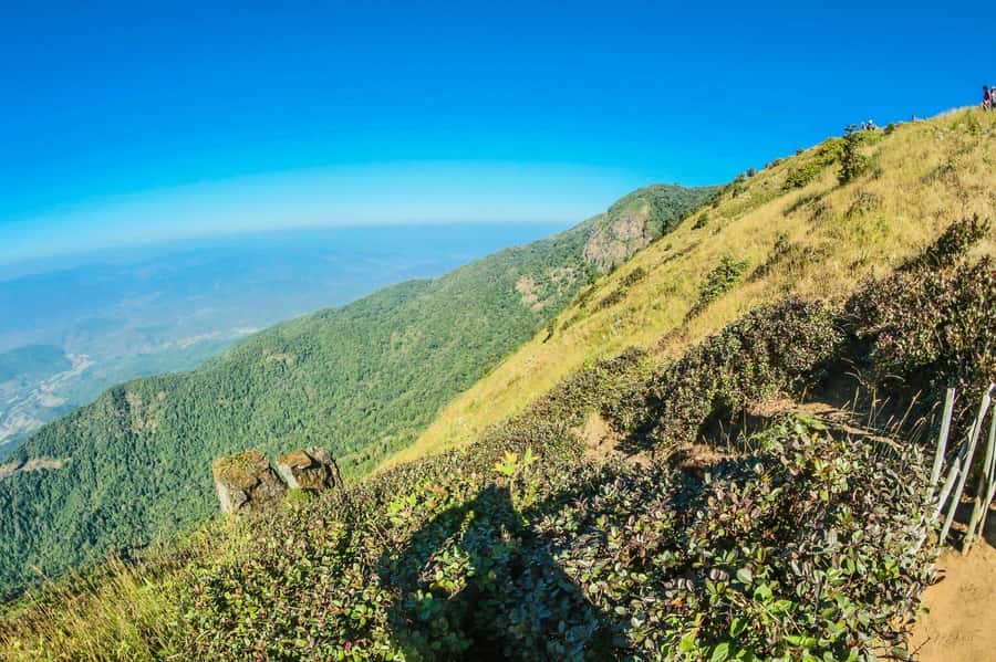 Chiang Mai: Kew Mae Pan Nature Trail & Doi Inthanon Day Trip - Price and logistics: what you really pay for with $54