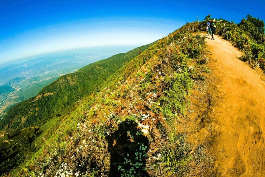 Chiang Mai: Kew Mae Pan Nature Trail & Doi Inthanon Day Trip - Timing and pickup: how to plan your day in Chiang Mai