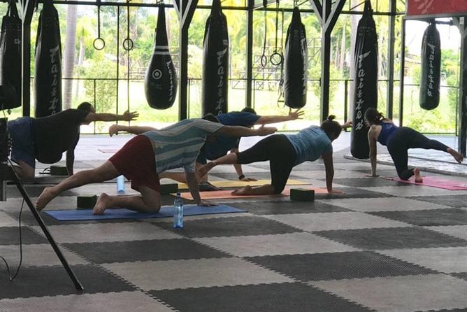 Chiang Mai Muay Thai Boxing Experience - The 5-hour rhythm: pickup, training, lunch, and back to your hotel