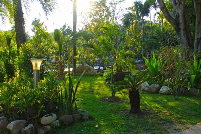 Chiang Mai Muay Thai Boxing Experience - Price and value: what $83.08 buys you in Chiang Mai