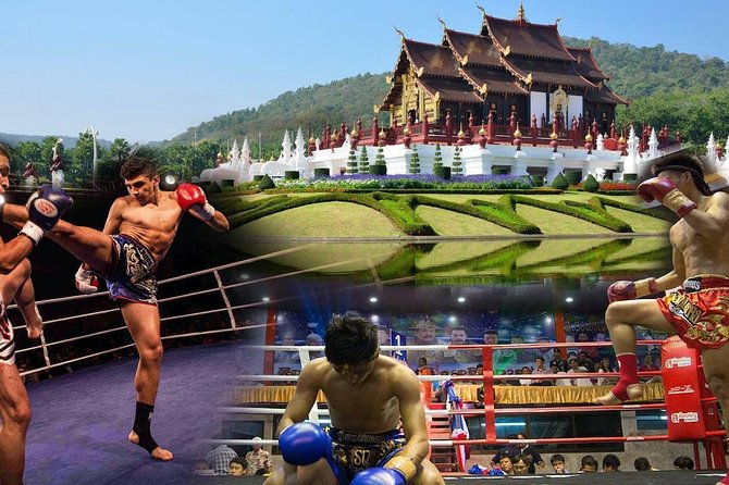 Chiang Mai Muay Thai Boxing Live at Thapae Stadium - The Main Event: Real Muay Thai Bouts in the Square Ring