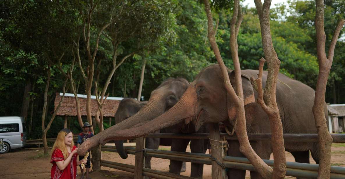 Chiang Mai: National Elephant Care, Rafting, & Ziplines Trip - Key things to know before you book