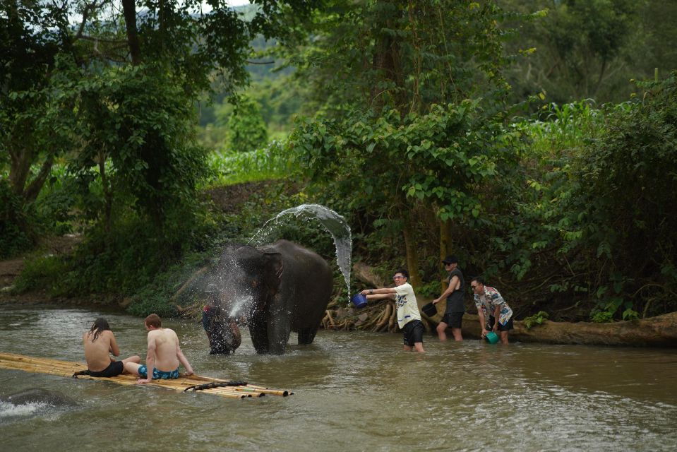 Chiang Mai: National Elephant Care, Rafting, & Ziplines Trip - Making an Herbal Vitamin Ball (and Why It Matters)