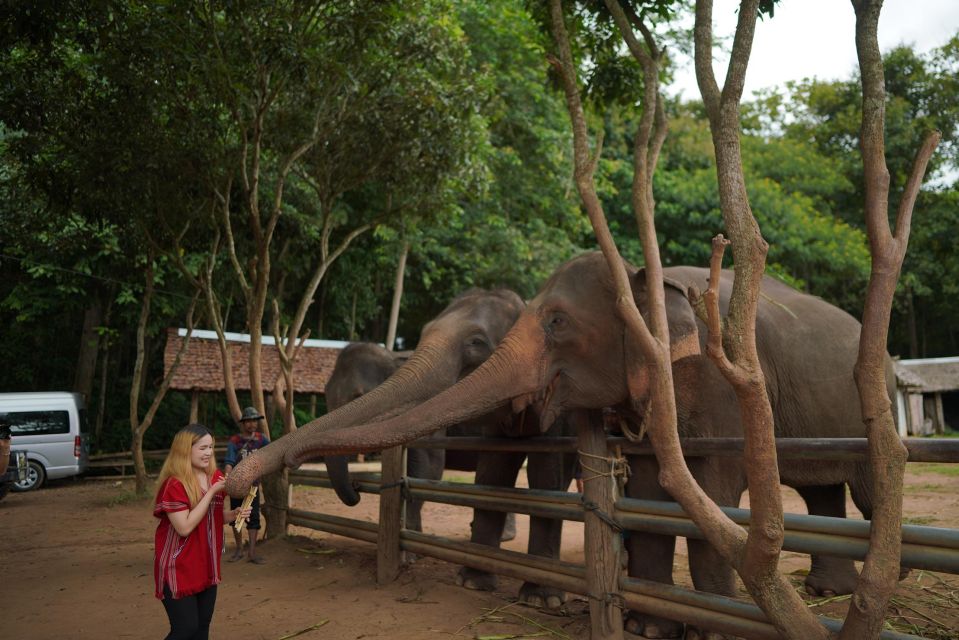 Chiang Mai: National Elephant Care, Rafting, & Ziplines Trip - Mae Wang River: Bamboo Rafting for About 45 Minutes