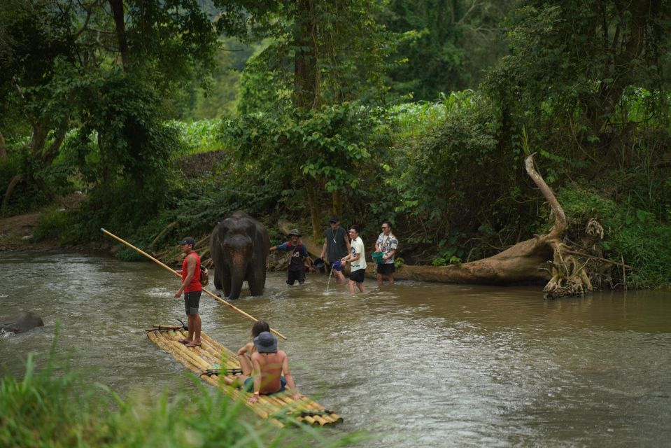 Chiang Mai: National Elephant Care, Rafting, & Ziplines Trip - Lunch by the River: Thai Buffet in an Idyllic Setting