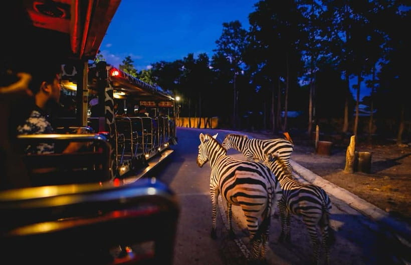 Chiang Mai Night Safari Ticket & Tram Rides Optional Pickup - How Chiang Mai Night Safari works: independent night access