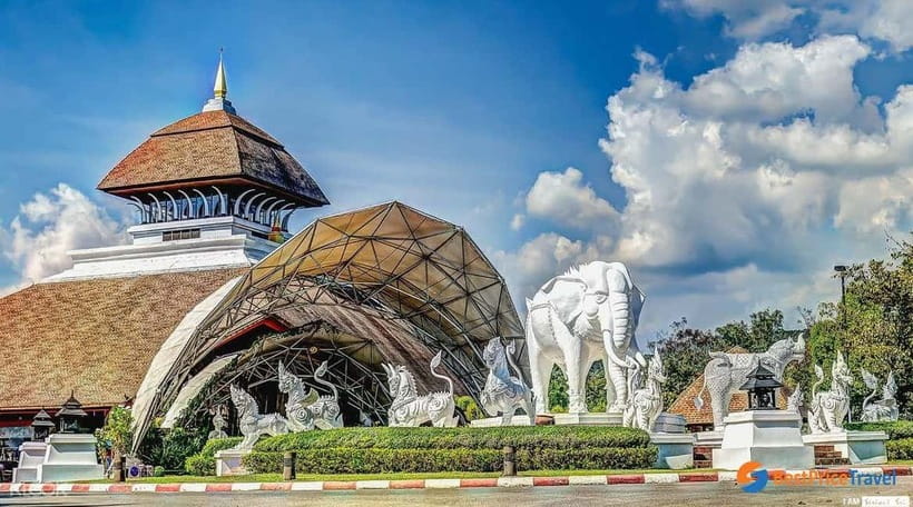 Chiang Mai Night Safari Ticket & Tram Rides Optional Pickup - Night shows: how to plan timing and seating