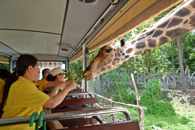 Chiang Mai Night Safari Ticket & Tram Rides Optional Pickup - Smart tips to get the best night out of it