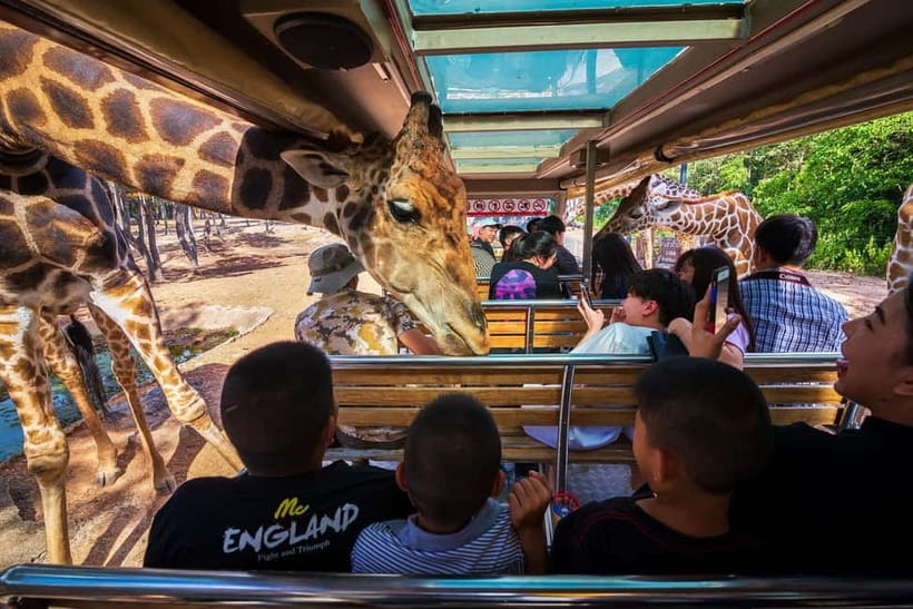 Chiang Mai Night Safari Ticket & Tram Rides Optional Pickup - Tram rides through the Savannah and Predator zones