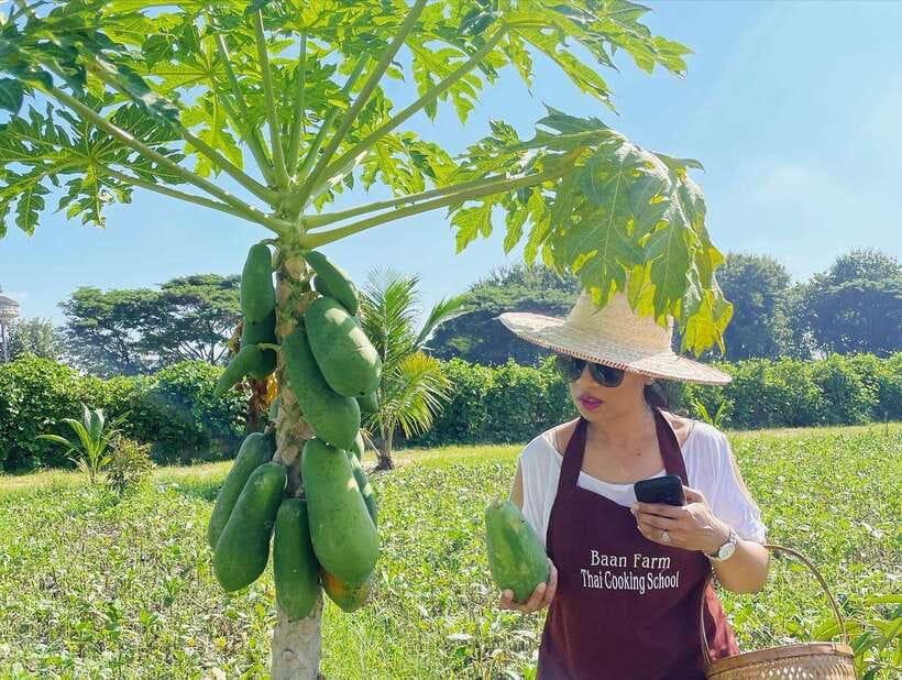 Chiang Mai Organic Thai Cooking Experience - How the market sets you up for real Thai cooking