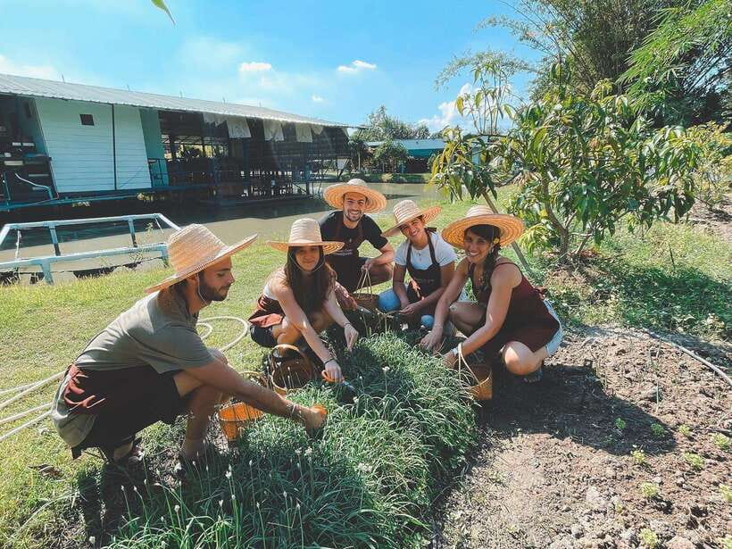 Chiang Mai Organic Thai Cooking Experience - Who this cooking class is best for